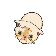 Angry Cat Meme Sticker PNG T-shirt Cute Illustration