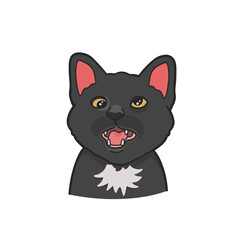 Hah Cat Meme Sticker PNG T-shirt Cute Illustration
