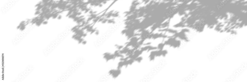 Poster tree branch leaves soft shadow shade isolate transparent backgrounds png