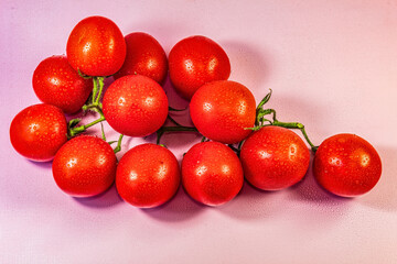 Food - Europe, Romania, Suceava region 