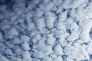 Obraz premium Beautiful Dense Cloud Formation in Clear Blue Sky