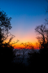 Fototapeta premium Branch of tree with warm color tone for nature background.. Phu Kradueng
