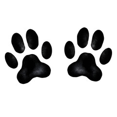 Dog Paw Prints on Transparent Background, PNG 
