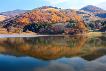 충남 서산시 용비지의 가을단풍