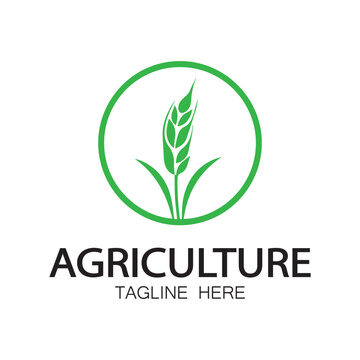 Green logo creative template design. Logo for nature and agriculture products.