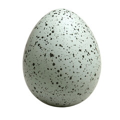 Speckled egg on transparent background isolated on transparent background 