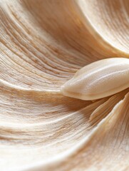 Close-up of a flower petal. the petal is light beige in color and has a smooth texture. in the center of the petal, there is a small, elongated seed pod.