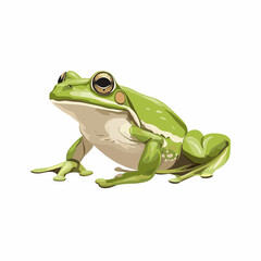 Obraz premium Vector illustration of a frog toad in a cartoon clipart style frogs toads isolated on a white background