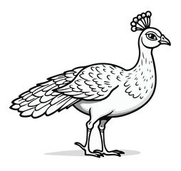 Cartoon Peacock Vector Illustration with Feathered Bird Character