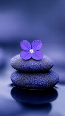 Purple flower on stacked stones