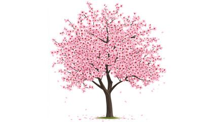 Obraz premium Cherry blossom tree, PNG clipart with transparent background
