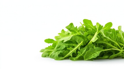 Obraz premium Fresh arugula leaves on a white background
