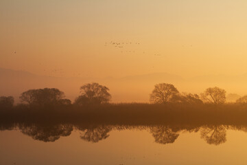 충남 서산시 천수만의 아침