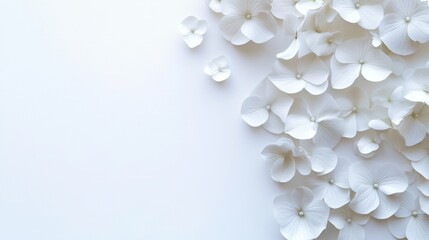White hydrangea petals arranged on a white background, leaving space on the left