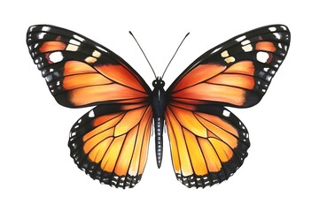 Obraz premium Butterfly, Generative AI 
