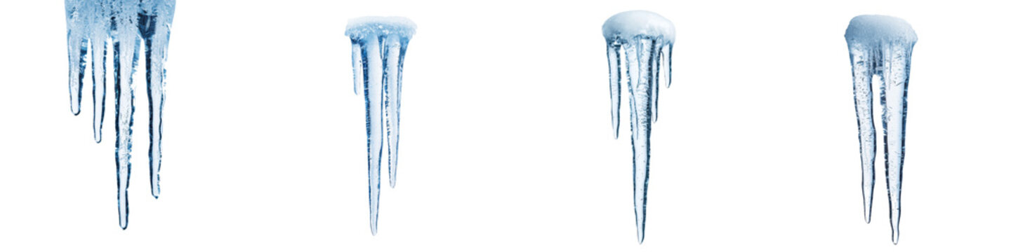 Stunning natural icicle formations hanging from a tree branch in a snowy cold winter landscape  The icicles have a clear transparent crystalline texture and a beautiful blue icy hue
