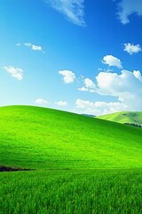 Obraz premium Rolling meadows with bright green grass against blue skies, vibrant, horizon, summer