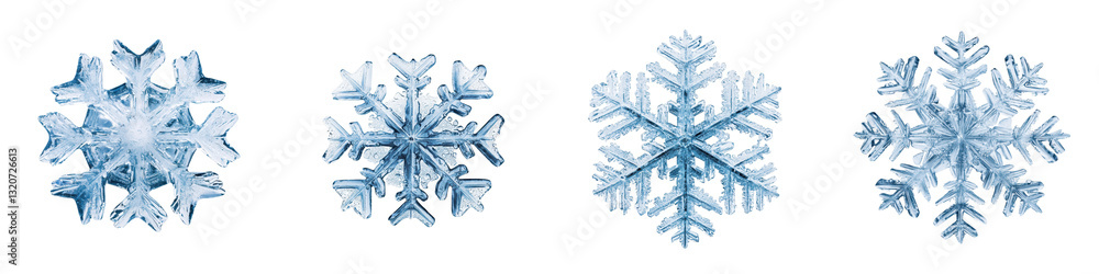 Poster detailed photography of various unique snowflake crystal formations displaying intricate geometric p
