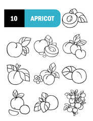 
Set of Apricots illustration, harvest Apricots with leaf isolated on white background, fresh fruit, Apricots tree branch
