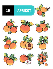 
Set of Apricots illustration, harvest Apricots with leaf isolated on white background, fresh fruit, Apricots tree branch
