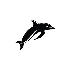 dolphin isolated on white