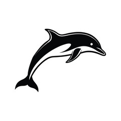 dolphin isolated on white background