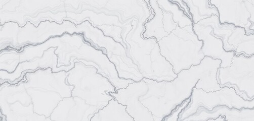 Fototapeta premium Intricate swirls of white and grey marble, high-resolution detail, art, high resolution