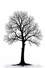 Obraz premium Leafless tree silhouette in stark contrast on white, starkness, stark, contrast