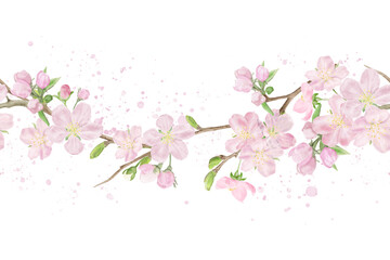Delicate flowers on the spring branches, light petals and yellow stamens. Seamless Border. Watercolor digital illustration. Pink buds on sakura, blooming Japanese tree, isolated on a white background.
