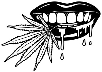 Dripping Lips Marijuana