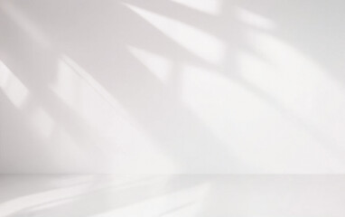 Minimal abstract light gray background for product presentation. Soft shadow and light from windows on white wall.