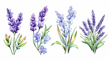 Hand-painted Lavender Flowers in Various Shades and Styles