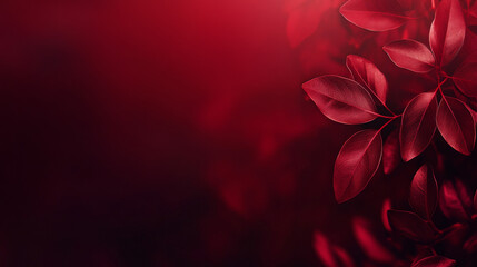 Obraz premium A blurred deep red abstract backdrop with natural lighting and soft leaf shadows, ideal for branding and product displays