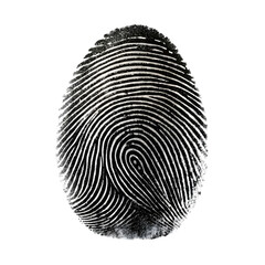 Fingerprint isolated on transparent background