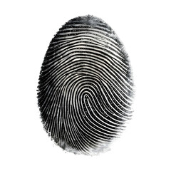 Fingerprint isolated on transparent background