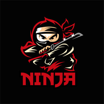 ninja character vector illustration