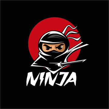ninja character vector illustration