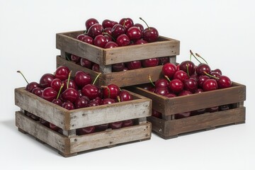 Fresh Ripe Cherries in Rustic Wooden Crates Arranged on White Background for Harvest Concept