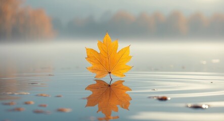 Autumn Leaf Floating On Tranquil Water Surface.