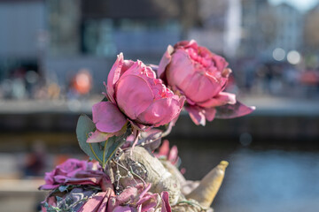 Un vélo remplit de fleurs dans la ville de Amsterdam au Pays-Bas