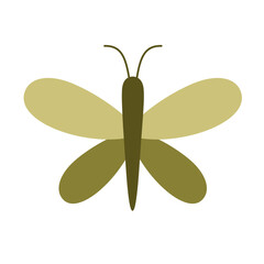 Boho butterfly clipart. Cute tropical character in cartoon flat style. Hand drawn vector illustration.