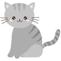 Cute Grey Cat