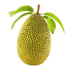 Magnificent Jackfruit: A Close-Up of Nature's Marvel