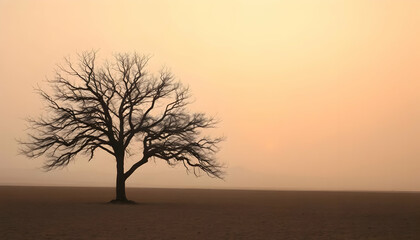Lonely Silhouetted Tree Against Soft Sunset in Misty Landscape