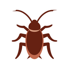 Cockroach