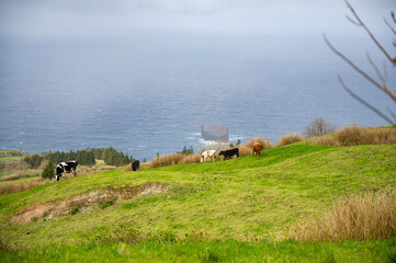 Obraz premium Foggy ocean overlook from mountain