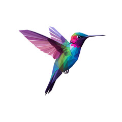 Fototapeta premium Vibrant Low Poly Hummingbird Bird Colorful Design Art Wings Fauna Pixel Vector Animal Nature Modern 