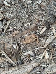 Natural Wood Mulch Texture – Organic Brown Shredded Bark and Wood Chips