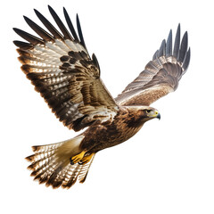A majestic hawk soaring through the air, wings fully spread, with sharp talons extended on transparent png background. Ai generated