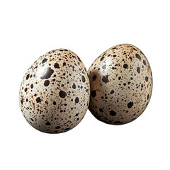 Two speckled quail eggs together on black background nature beauty isolated on transparent background 